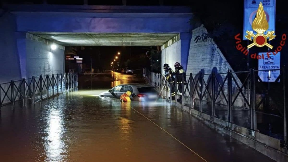 Immagine Vigili del Fuoco.