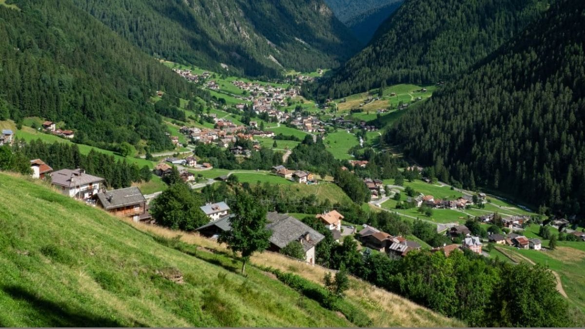 Immagine
