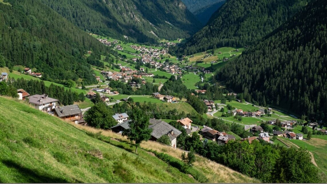 Immagine