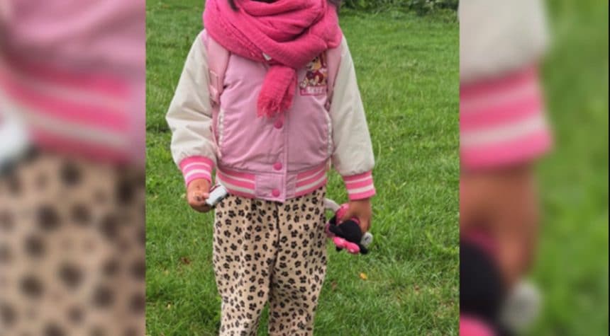 Mistero in Francia, bimba di 3 anni è scomparsa: "Portata via dal padre", sospesa l'allerta