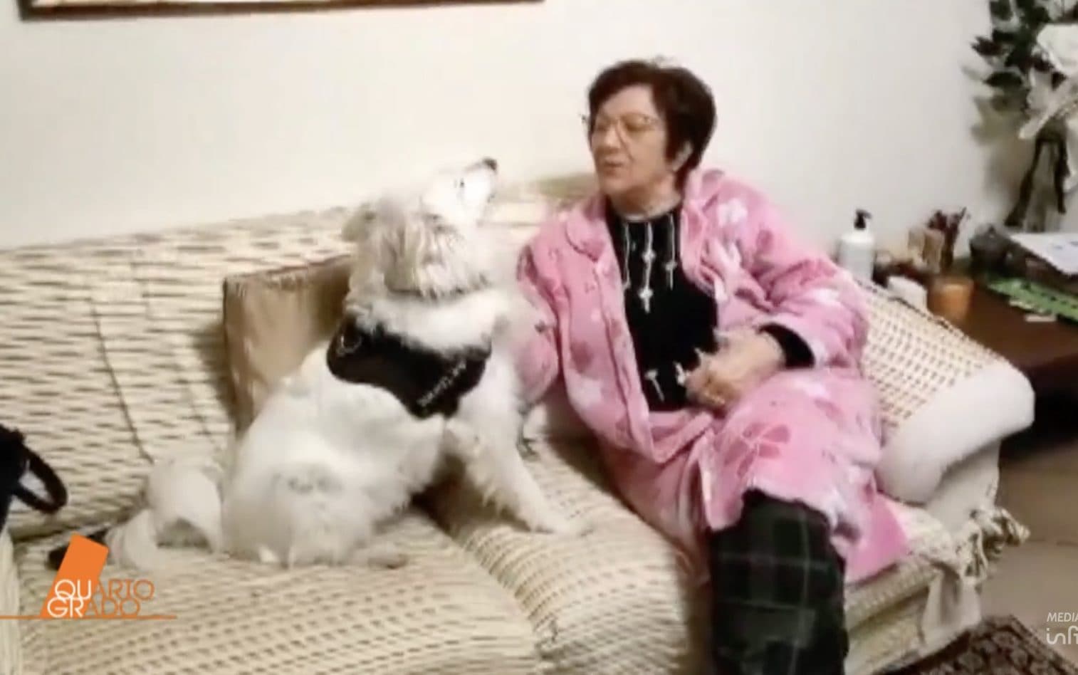 Pierina Paganelli, lunedì Dassilva a processo. Il figlio della 78enne: "Non vorrei rivederlo, ma deve difendersi"