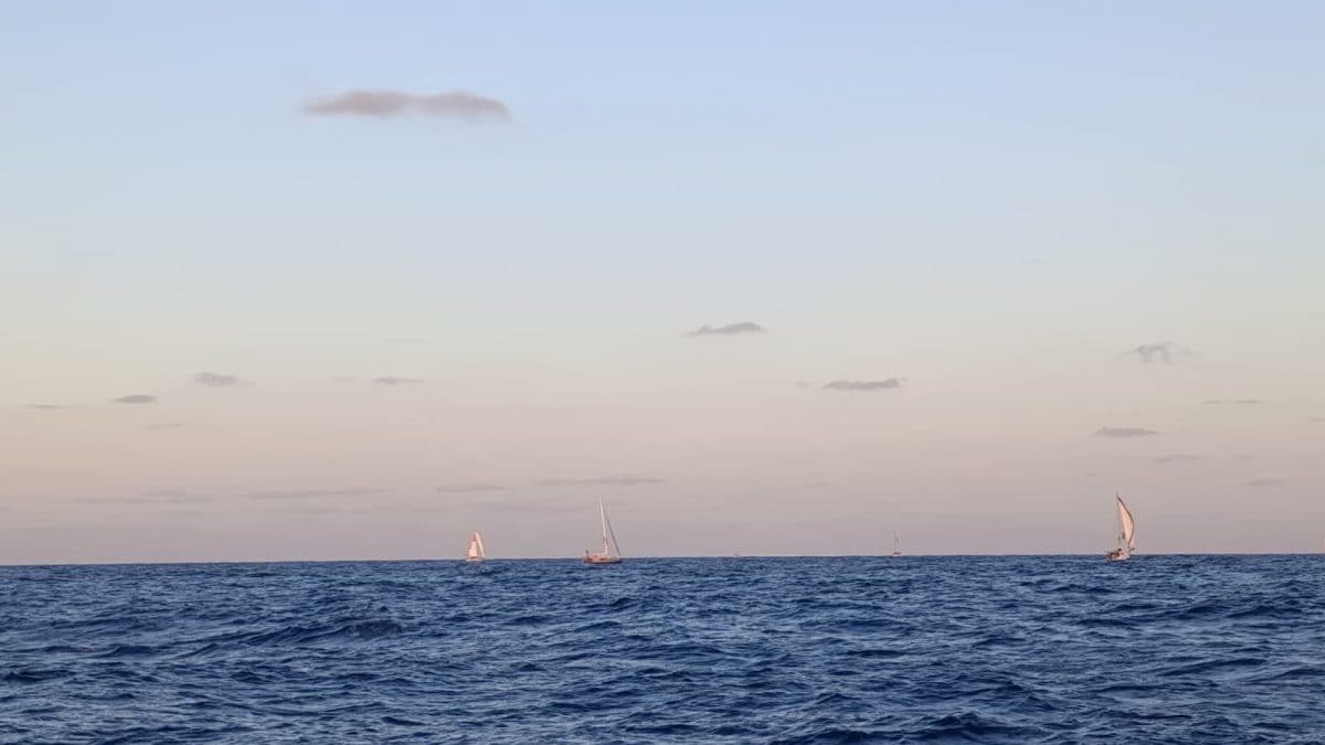 Foto di Saverio Tommasi