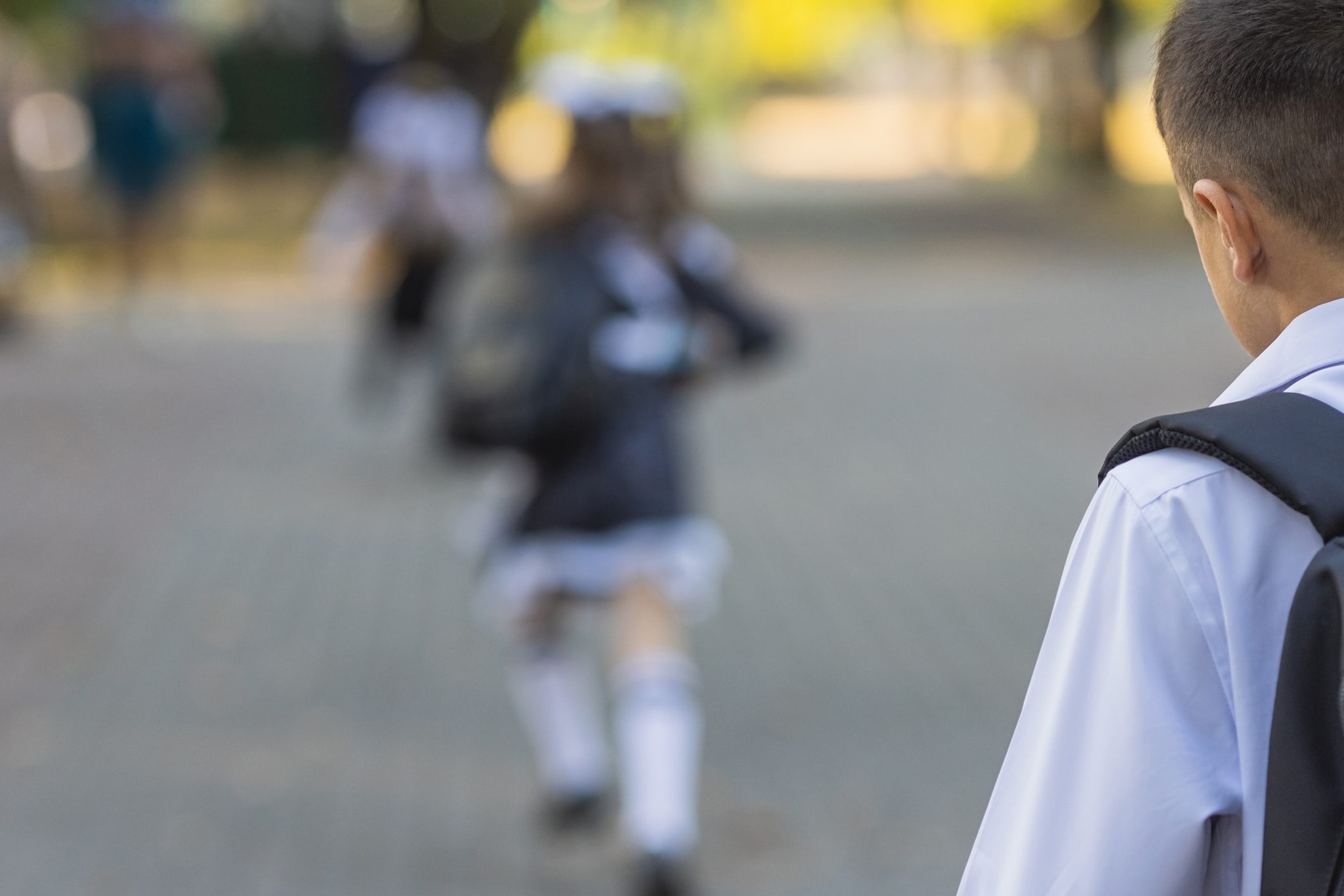 Bullo Treviso, genitori non mandano più figli a scuola. Il caso diventa politico: "Comune doveva intervenire prima"