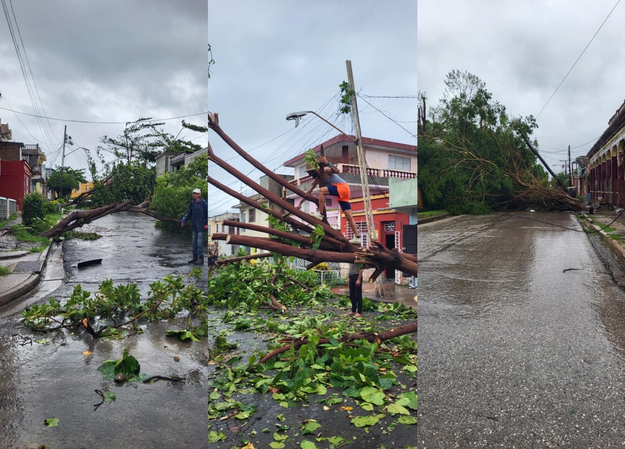 Uragano Melissa, il racconto di un italiano a Cuba: "Abbiamo usato un machete per liberare le strade"