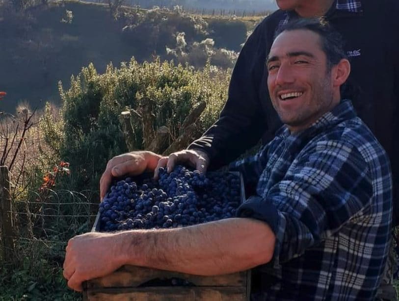 Matteo Forner muore nella cantina di famiglia: schiacciato dalla pressa dell’uva che stava ripulendo