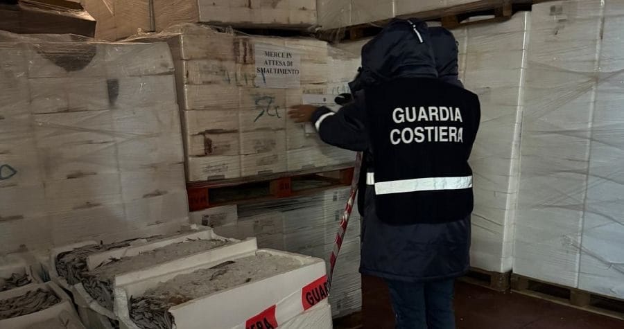 Sequestrate 8 tonnellate di pesce a Piombino: era scaduto da oltre un anno e pronto a finire in tavola