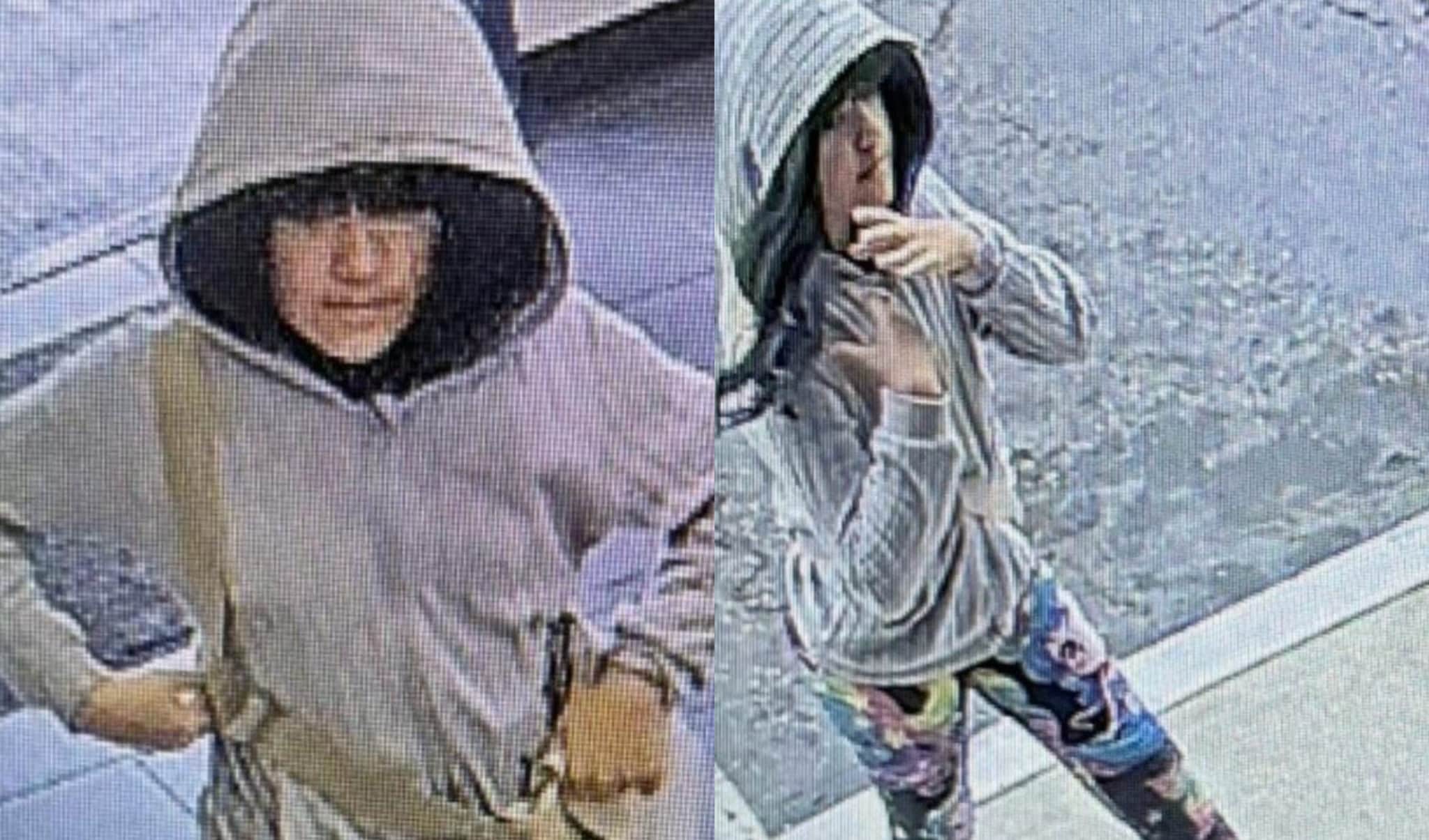 Bimba di 9 anni scomparsa negli Usa, diffuse nuove foto di Melodee: "Potrebbe essere lei con una parrucca"