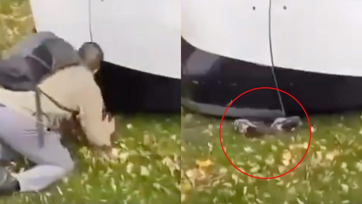 Fermo immagine del video pubblicato su X.