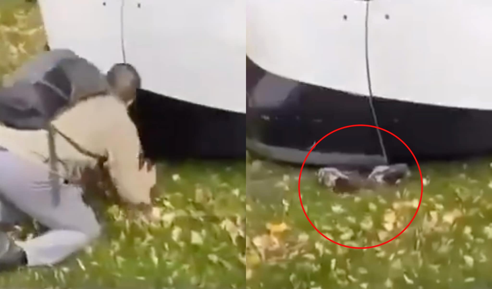 Bimbo di 8 anni viene investito da un tram a Strasburgo e si salva miracolosamente: la scena in un video