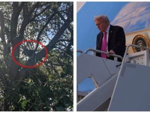 trump-Air-Force-One--300x225.jpg