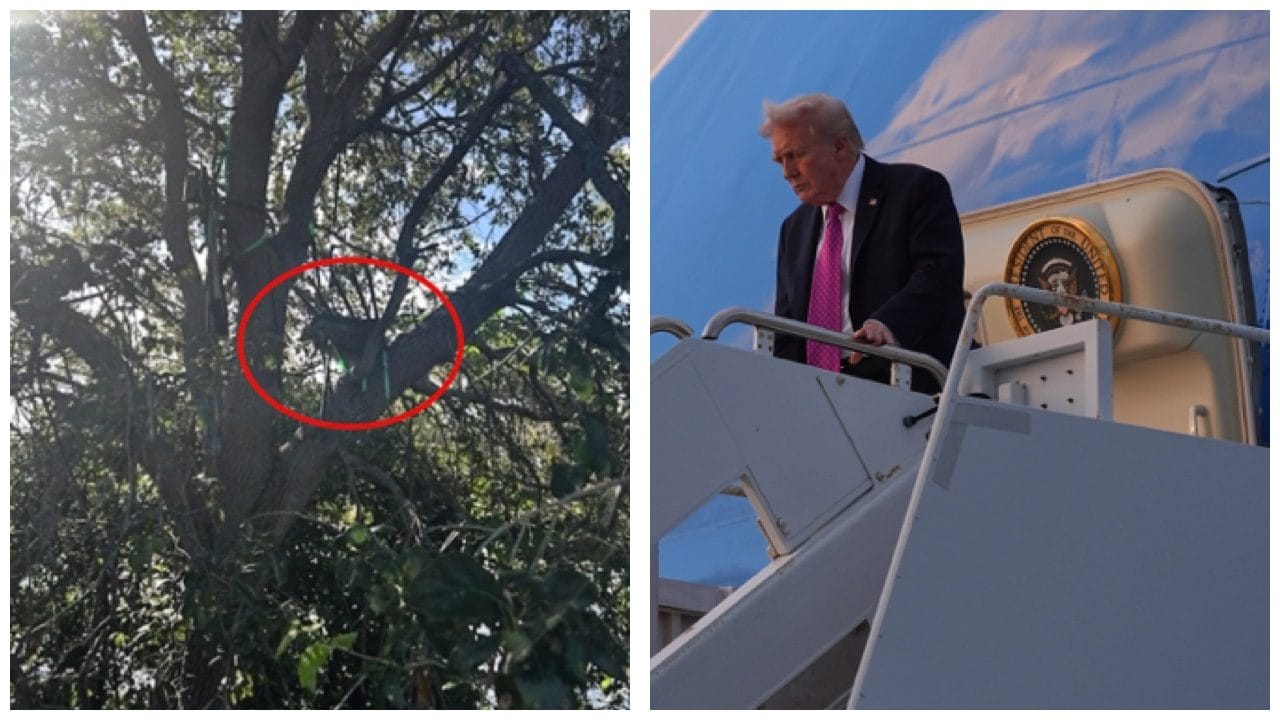 Sull’albero postazione da cecchino con visuale sulla porta dell'Air Force One di Trump, allarme in Florida