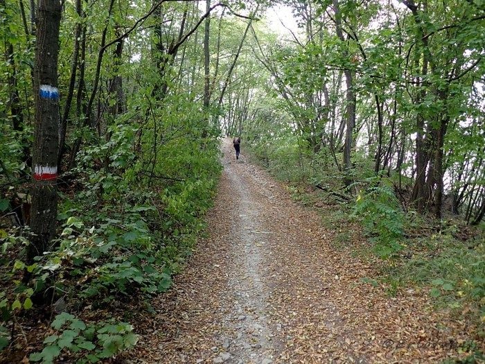 Latitante si nasconde per tre mesi nei boschi di Genova: visto da escursionisti, arrestato