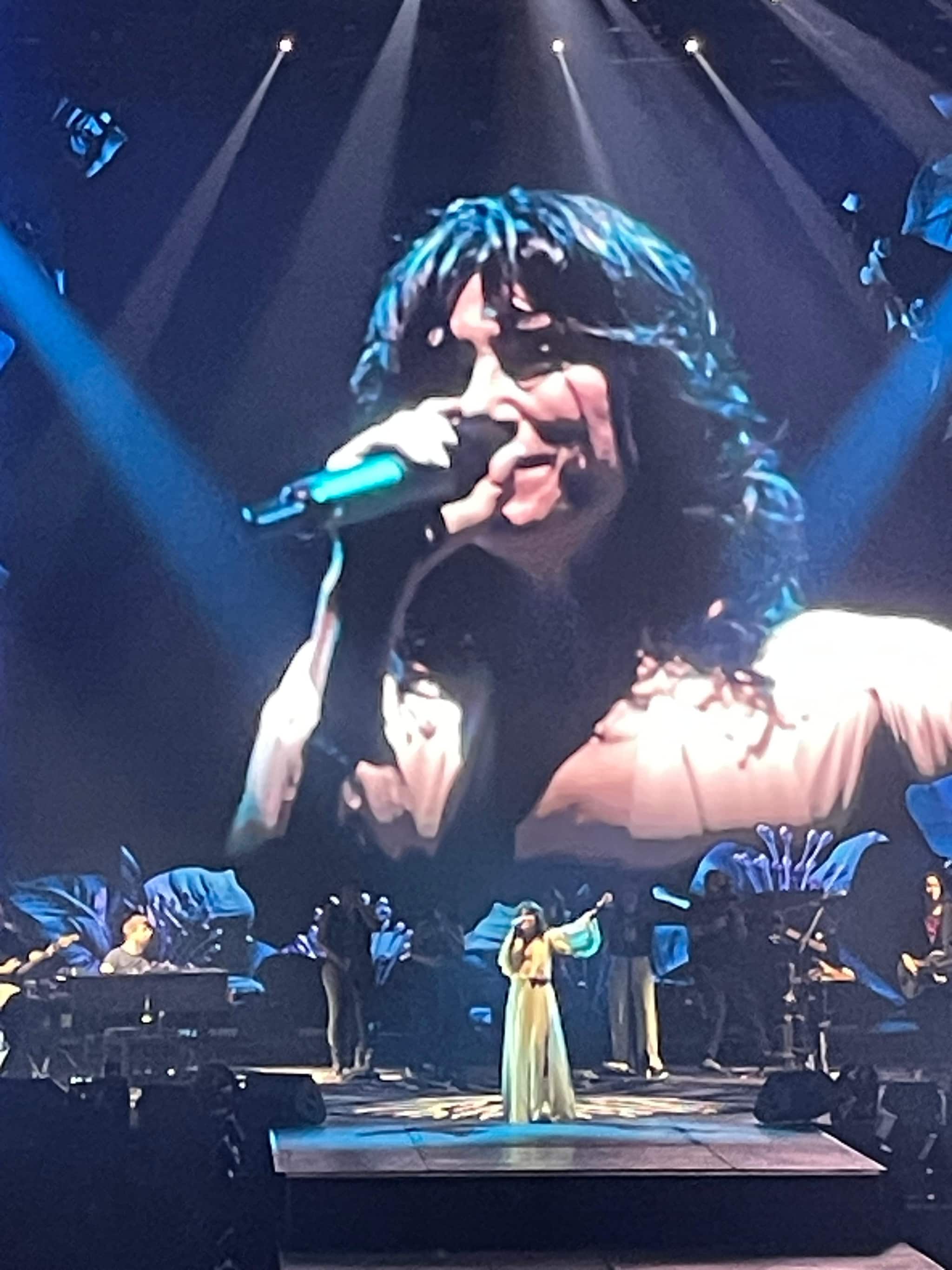 Elisa, Palasele 2025