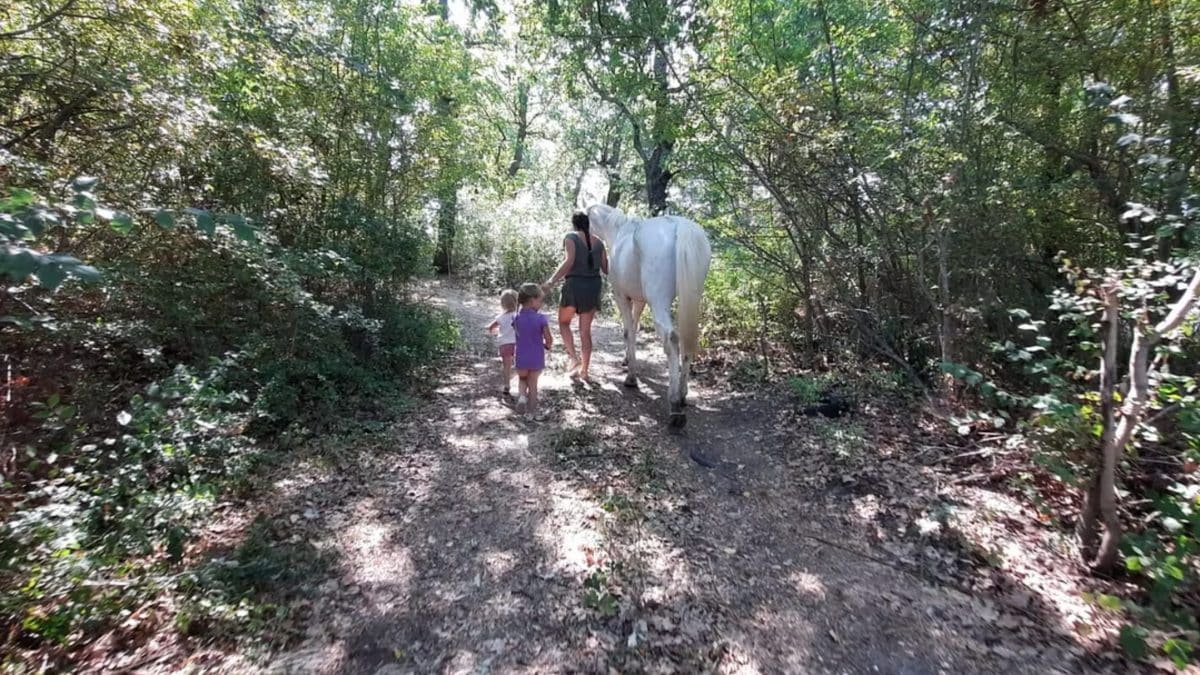 immagine di repertorio