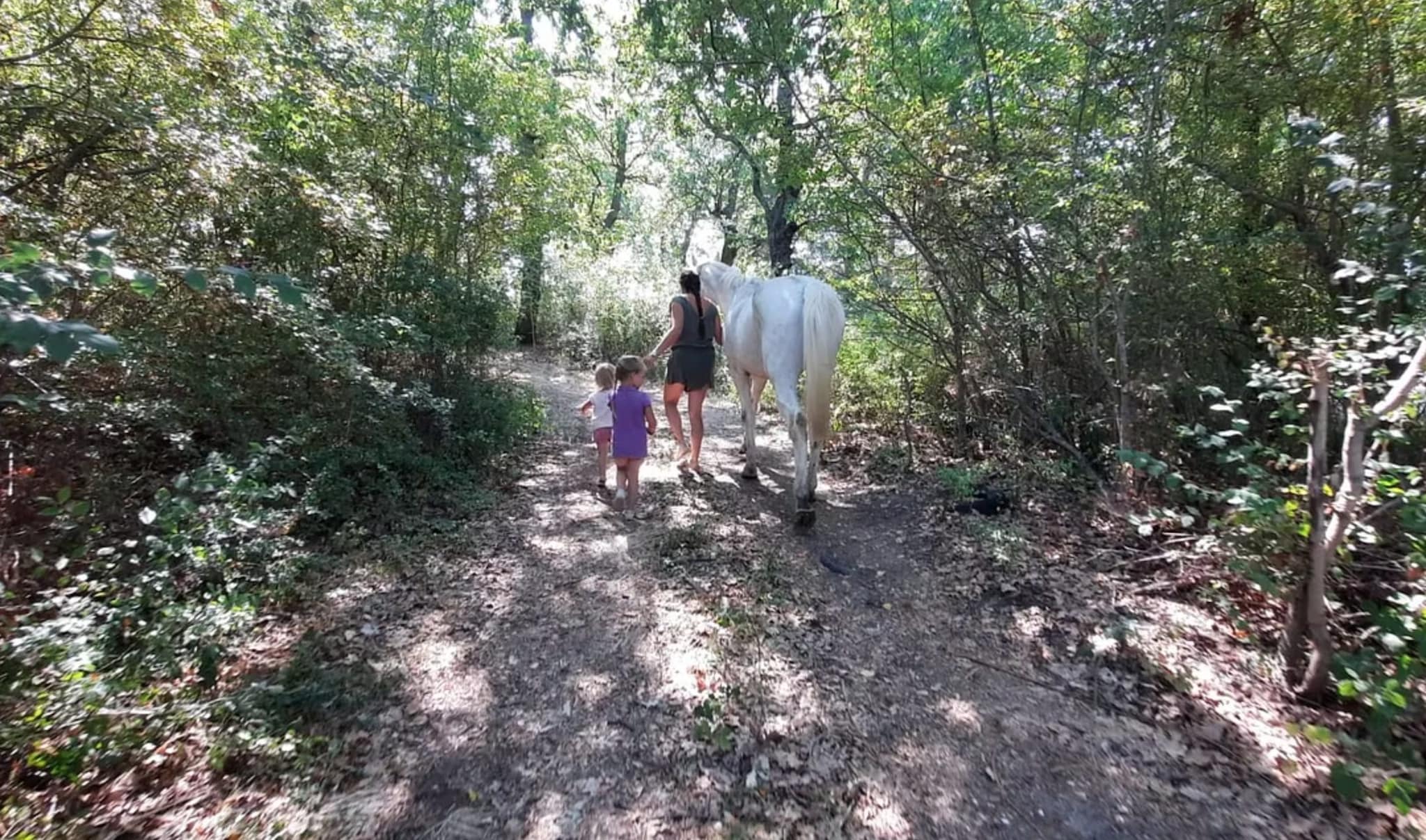 Bambini cresciuti nei boschi in Abruzzo, Procura ora chiede l’affidamento: “Condizioni non idonee”
