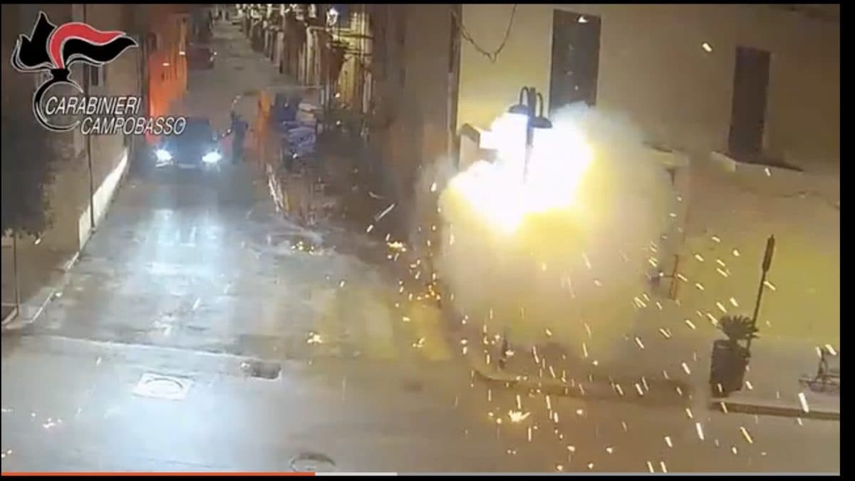 La banda della marmotta