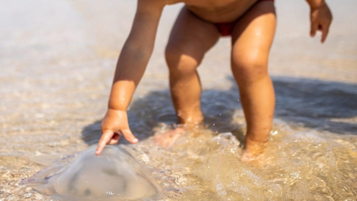 Immagine di repertorio.