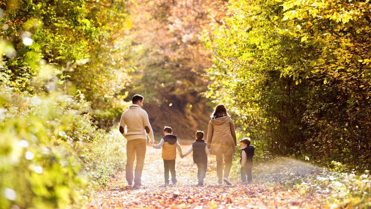 Immagine di repertorio.