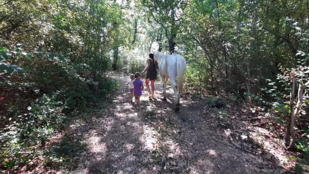 immagine di repertorio