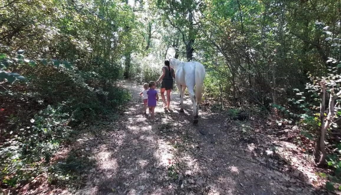 Famiglia che vive nel bosco a Chieti, il tribunale porta via i 3 bimbi: trasferiti in una struttura protetta