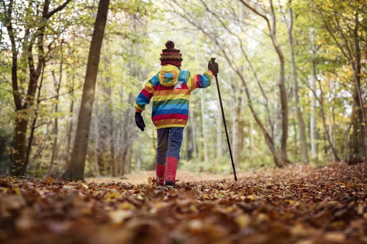 Bimbi nel bosco, ora l’avvocata dice che i genitori non avevano capito l’ordinanza: "Faranno i lavori"