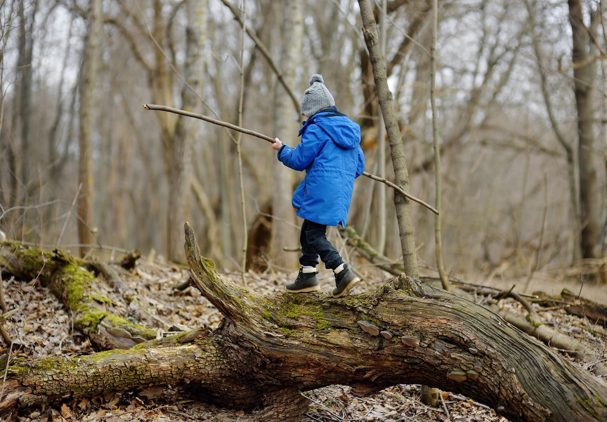 Famiglia nel bosco, il sindaco di Palmoli offre una casa gratis: "Già fatto dopo l'intossicazione da funghi"