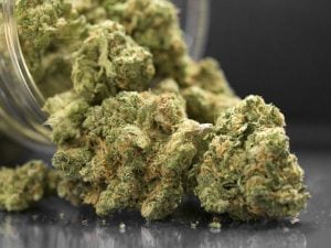 Due fratelli fermati a Catania con uno zaino pieno di droga: traditi dall&#8217;odore di marijuana