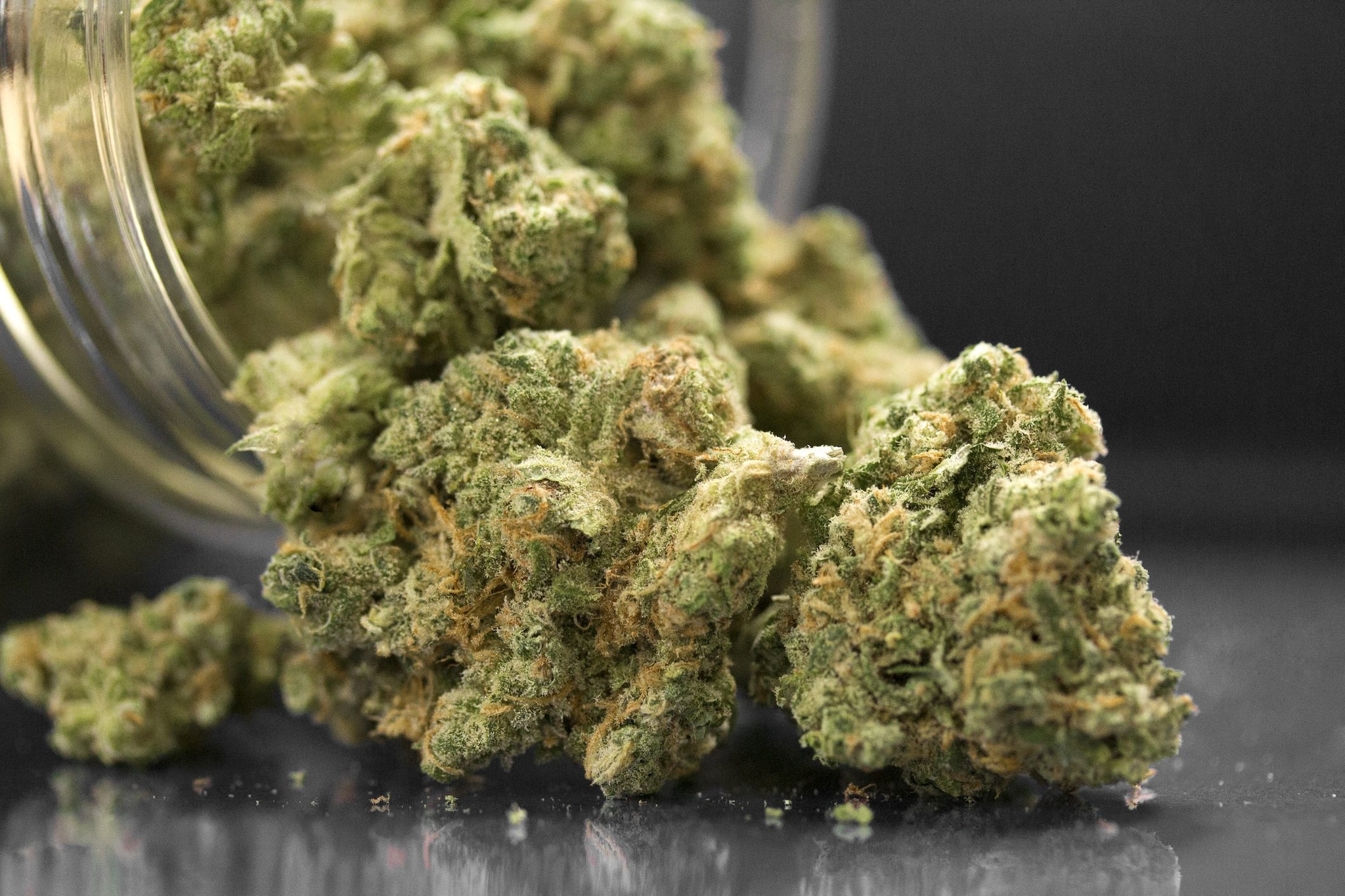 Due fratelli fermati a Catania con uno zaino pieno di droga: traditi dall'odore di marijuana