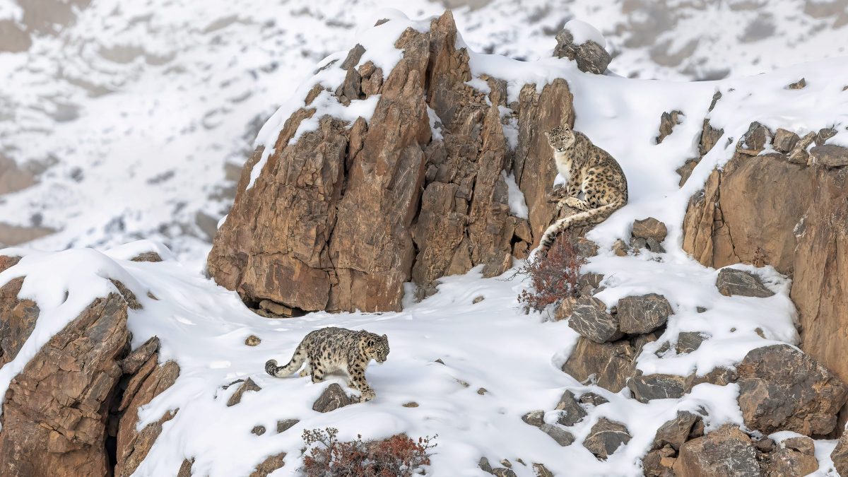 Foto di Marco Gaiotti