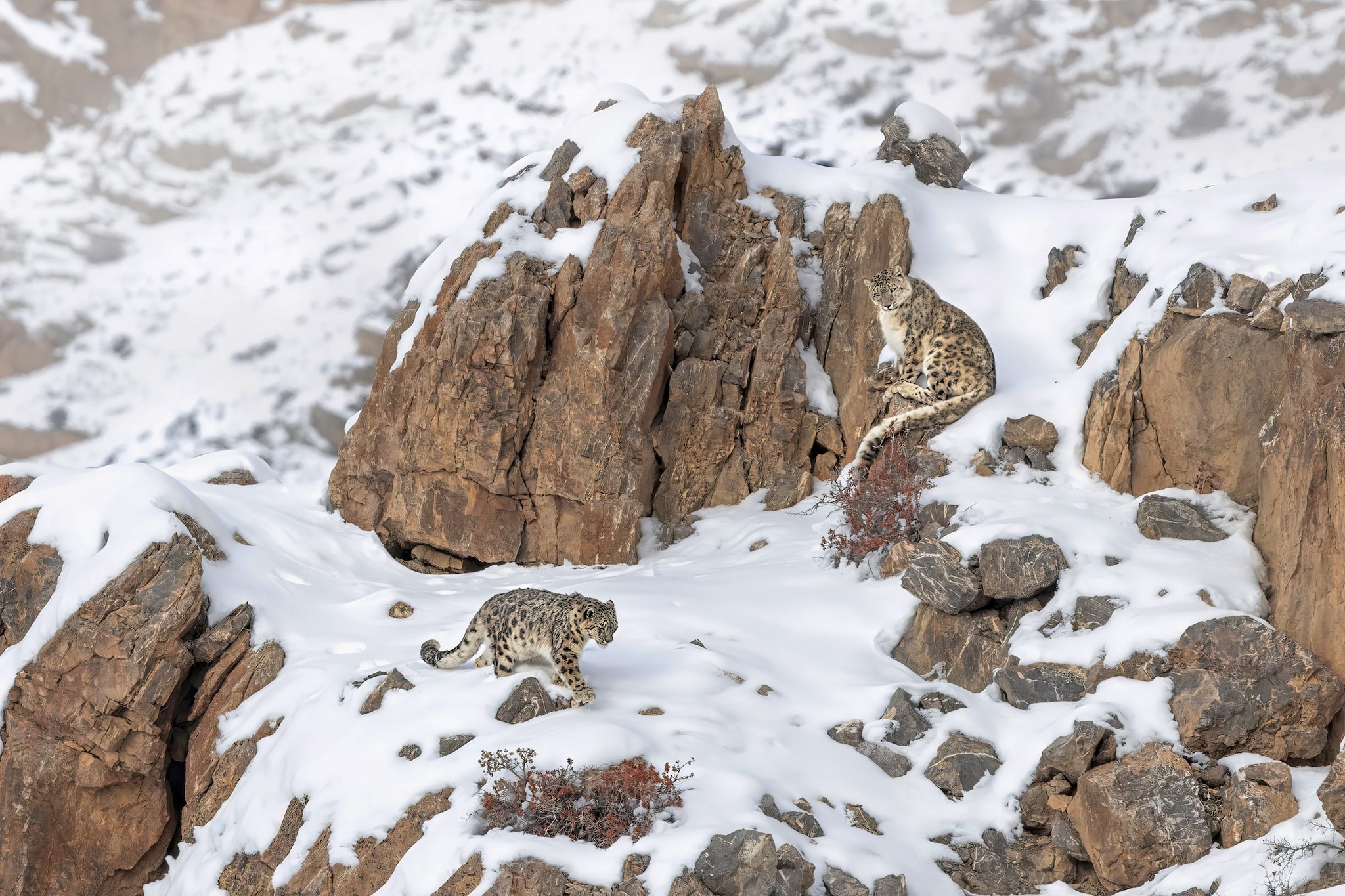 "Sull'Himalaya il meteo è imprevedibile, situazioni estreme sono dietro l'angolo": il racconto di chi ci è salito