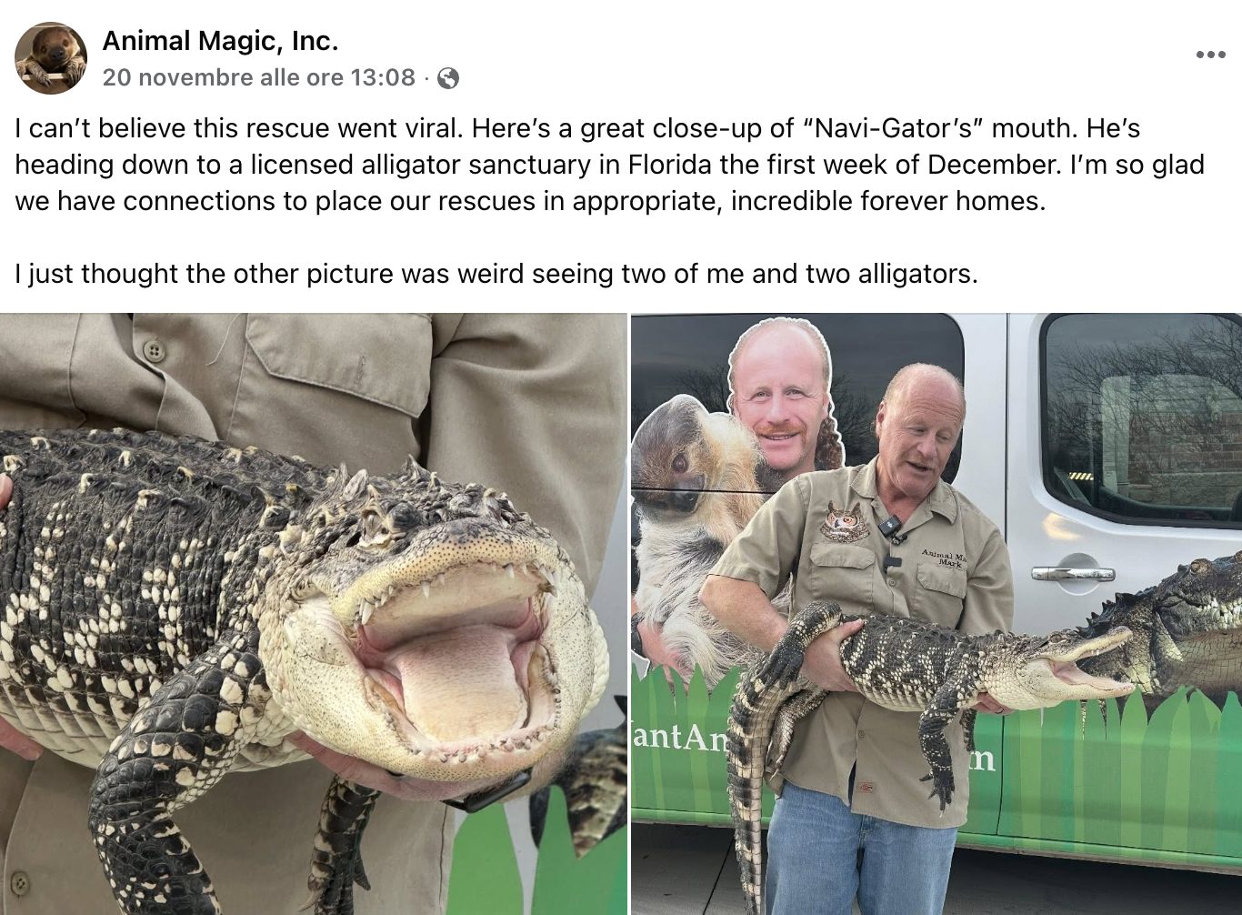 Il post pubblicato sulla pagina Facebook della Animal Magic Inc.