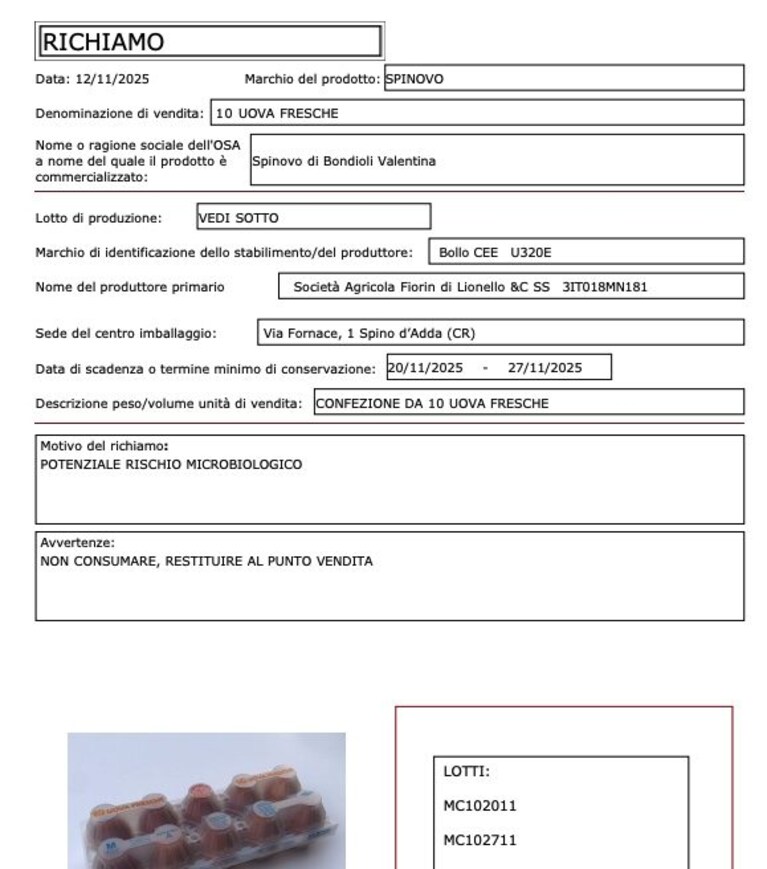 Immagine