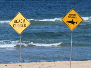spiaggia-australia-pericolo-squalo-300x225.jpg