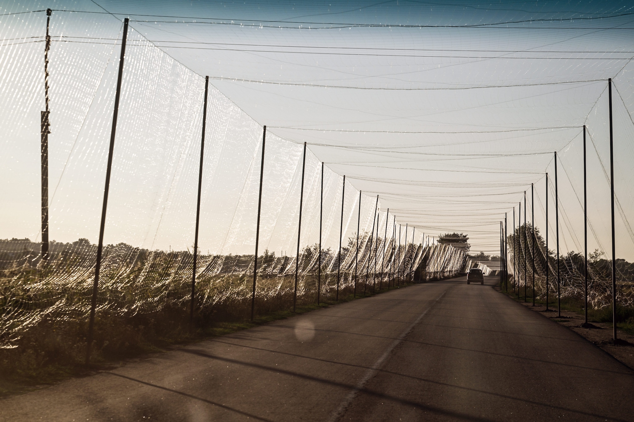 Un tunnel anti–droni nell’oblast di Zaporizhzhia