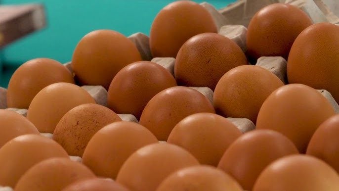 Richiamate uova fresche: pericolo salmonella. L'allerta alimentare del Ministero: "Non consumatele"