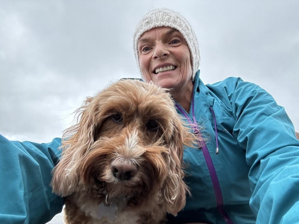 Travolta da una mandria di mucche, si frattura 10 costole: "Una tortura, sono viva per miracolo"