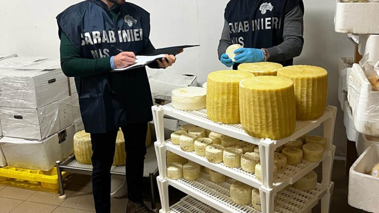 Feci e batteri nell’acqua della malga: bimba ricoverata dopo aver mangiato formaggio. Al via processo