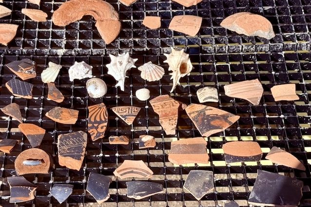 Resti trovati nel Parco Archeologico di Sibari