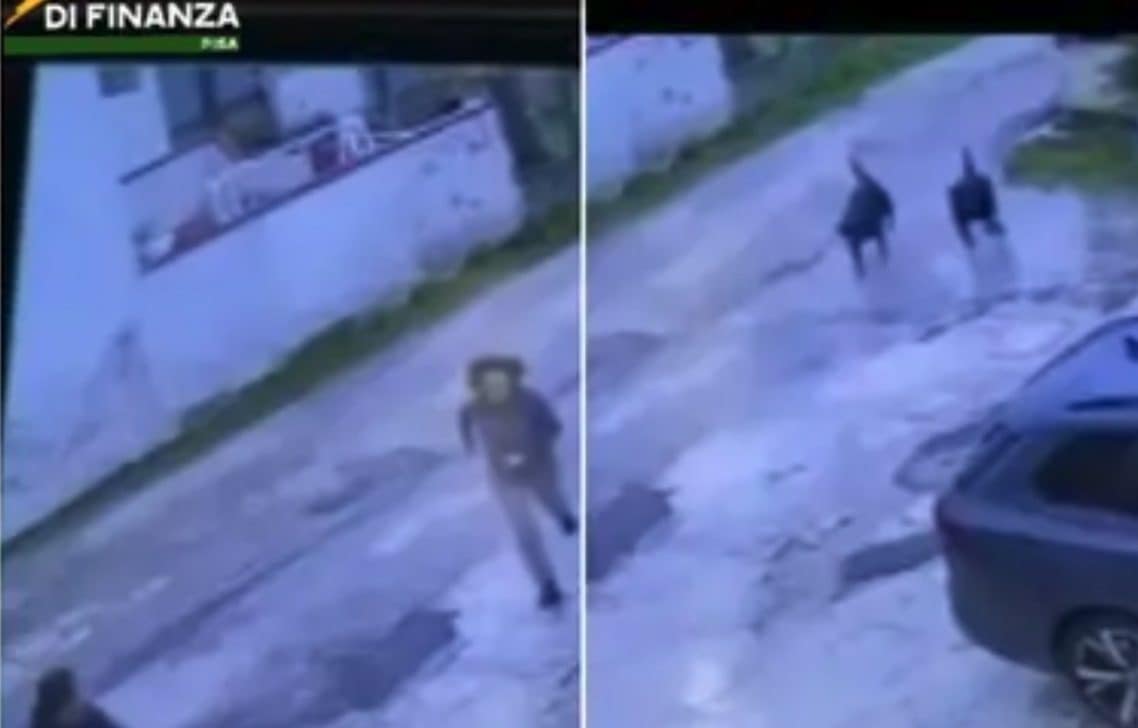 Tre Rottweiler si avventano su 11enne alla fermata dello scuolabus: finanziare la afferra al volo e la salva