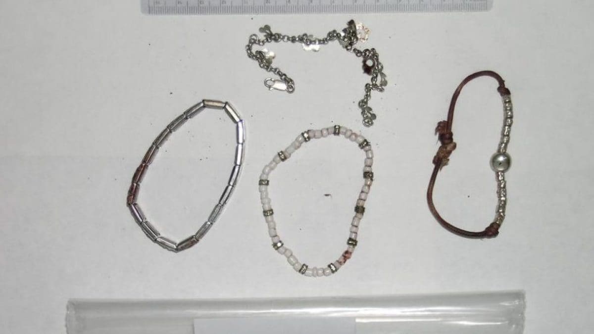 I bracciali indossati da Chiara Poggi quando è stata assassinata