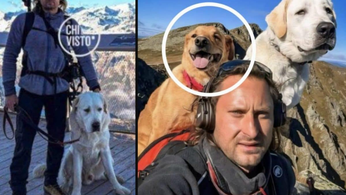 Karol Brozek coi sui cani (Pirat è quello cerchiato di bianco)