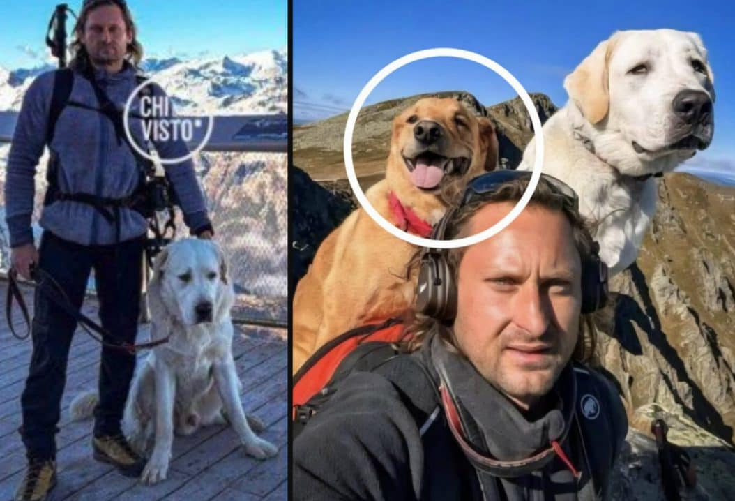 Ritrovato Pirat, il cane di Karol Brozek disperso sul Gran Sasso dal 19 novembre: si riaccende la speranza