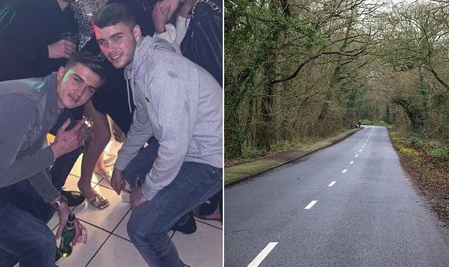 Tornano a casa in taxi dopo la festa di Natale: la Tesla si schianta contro un'albero, due 19enni morti