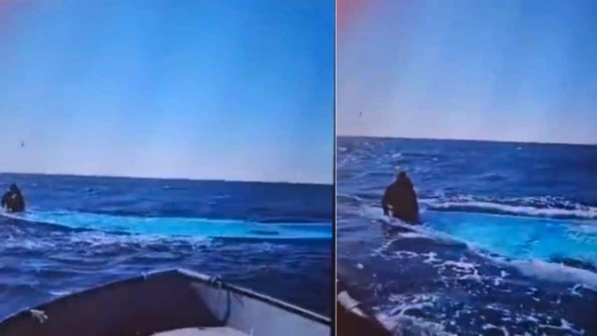 L’unico superstite a bordo dell’imbarcazione. Foto: Alarm Phone