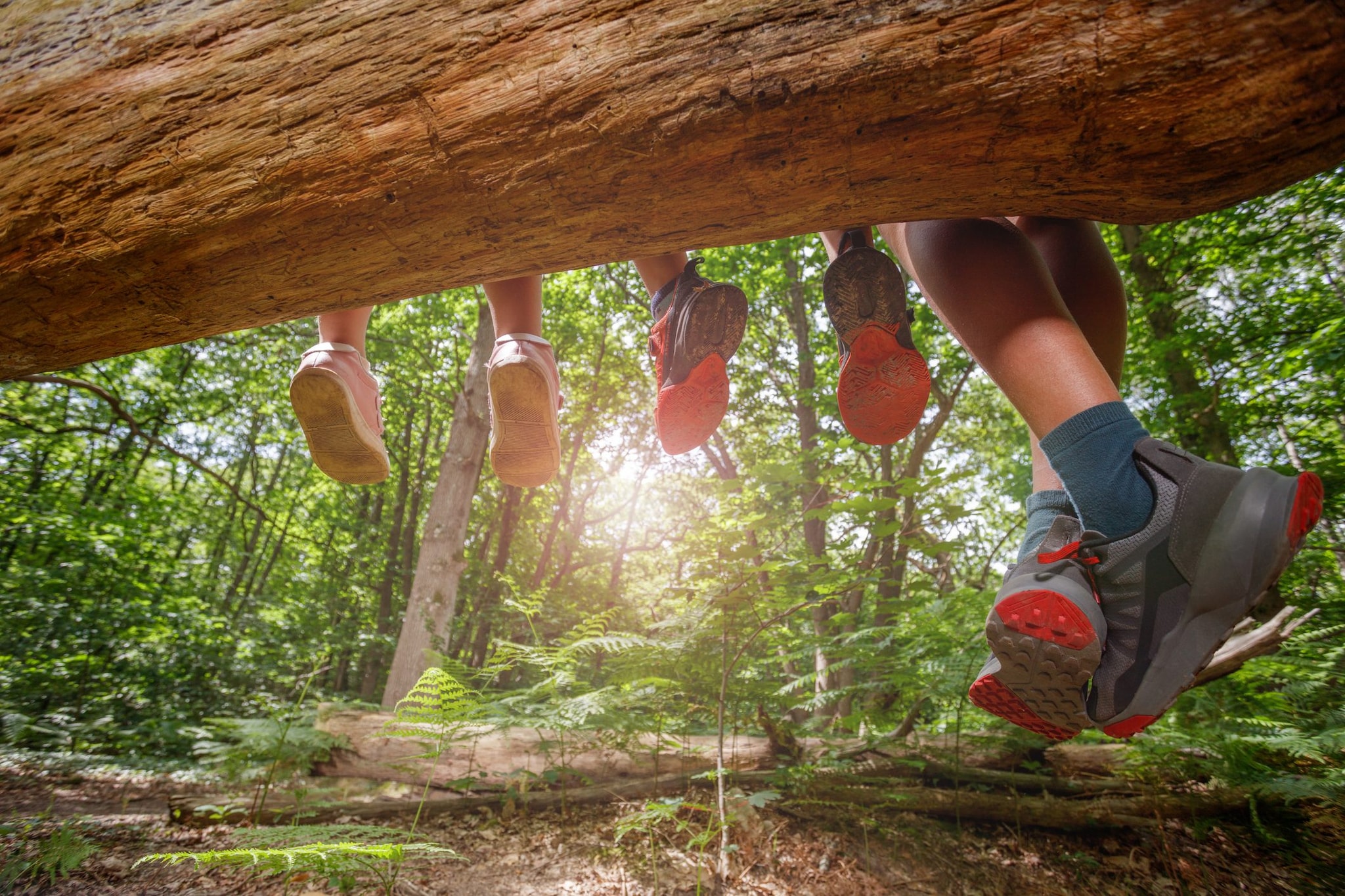 Le foto in lavanderia e in gelateria: così la difesa vuole dimostrare che i bimbi nel bosco sono integrati