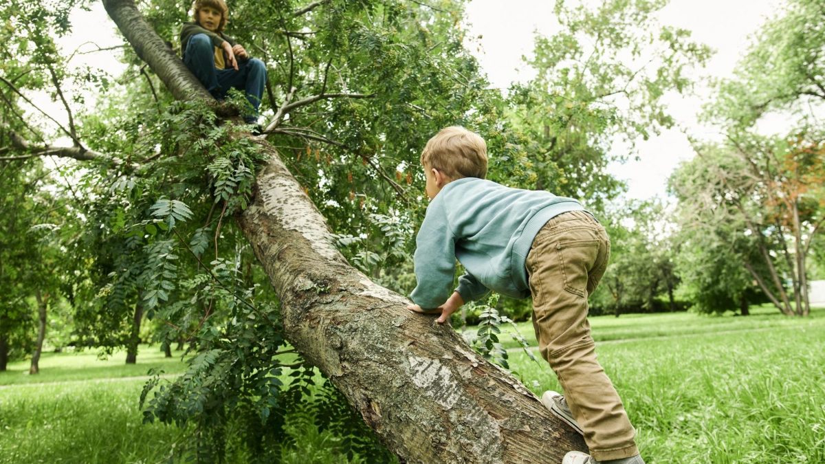 Un bimbo di 10 anni è precipitato mentre giocava ad arrampicarsi insieme a un amico