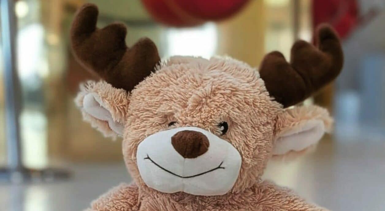 Orsacchiotto smarrito in aeroporto, il tenero appello sui social: "Mi aiutate a tornare a casa per Natale?"