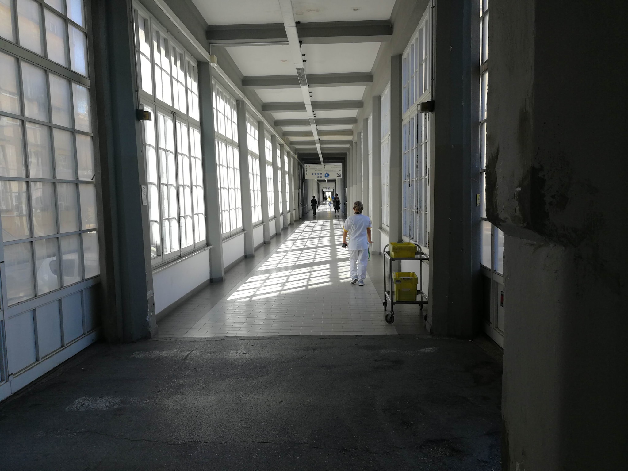 Ricoverata da poche ore per allucinazioni, 41enne muore in psichiatria a Livorno: aperta inchiesta