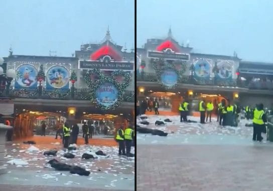 Cosa succede a Disneyland Paris quando gli addetti alle pulizie scioperano: cumuli di rifiuti ovunque