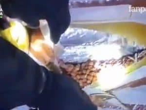 Maxi sequestro di droga a Gioa Tauro: 435 kg di cocaina nascosta in mille sacchi di noccioline